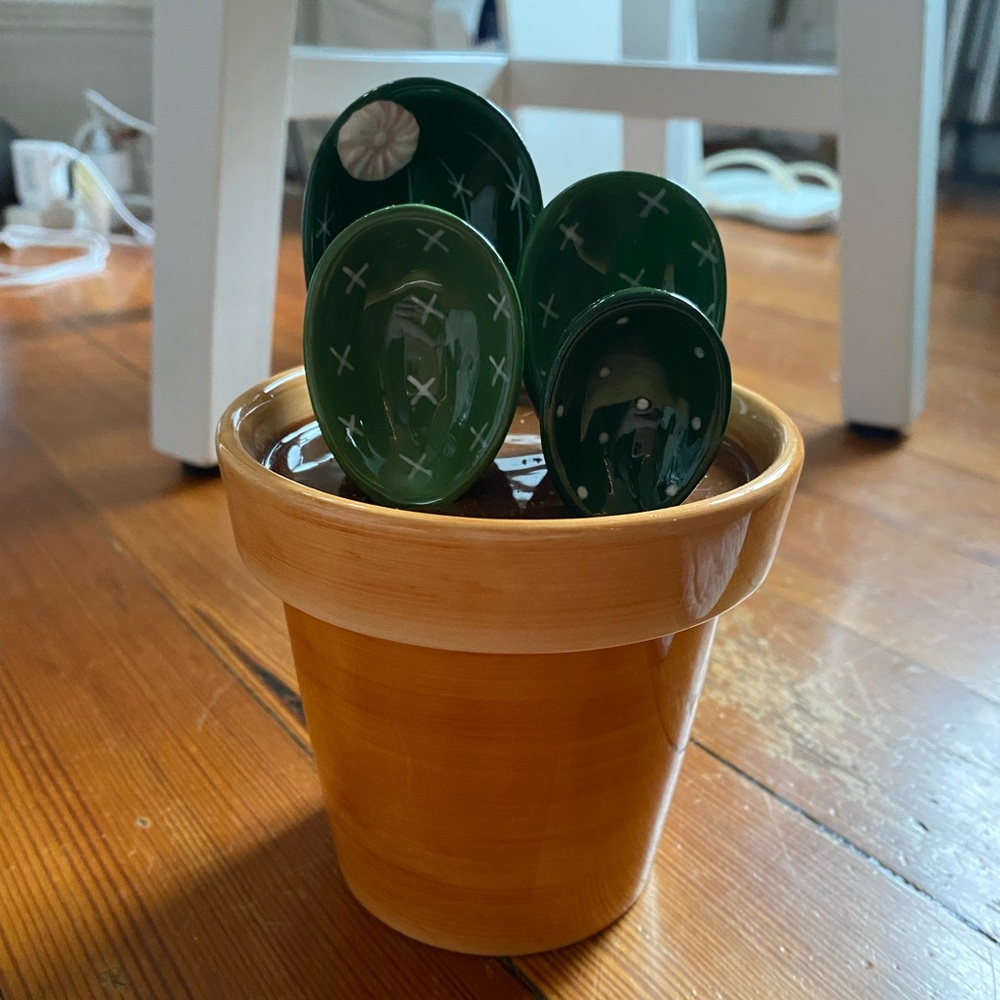 Cactus Measuring Spoon Set
